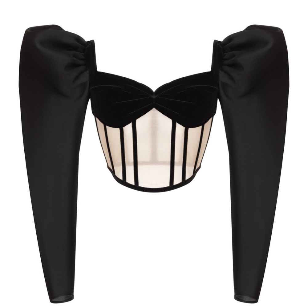 ROZIECORSETS Silk Velvet and Tulle Corset Top NWT